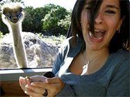 sjove photobomb